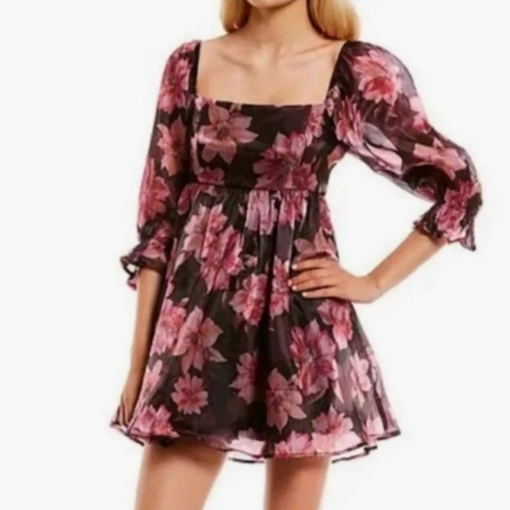 Thirty Thirty LA Floral Organza Babydoll Puff Sleeve Dress Size M